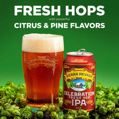Sierra Nevada Celebration Fresh Hop IPA Craft Beer 12 Pack 12oz Bottles