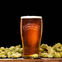 Sierra Nevada Torpedo Extra IPA Beer