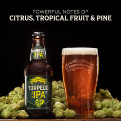 Sierra Nevada Torpedo Extra IPA Craft Beer 12 Pack 12oz Bottles