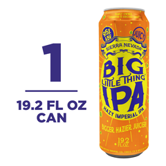 Sierra Nevada Big Little Thing Hazy Imperial IPA Craft Beer 19.2oz Can