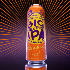 Sierra Nevada Big Little Thing Hazy Imperial IPA Craft Beer 19.2oz Can