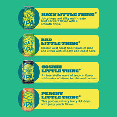 Sierra Nevada Little Things Hazy IPA Pack 12 Pack 12oz Cans