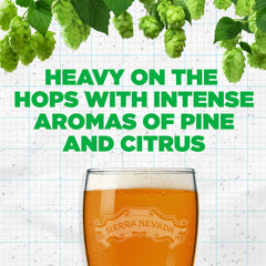 Sierra Nevada Pale Ale Craft Beer