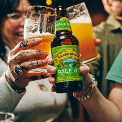Sierra Nevada Pale Ale Craft Beer 12oz Bottle